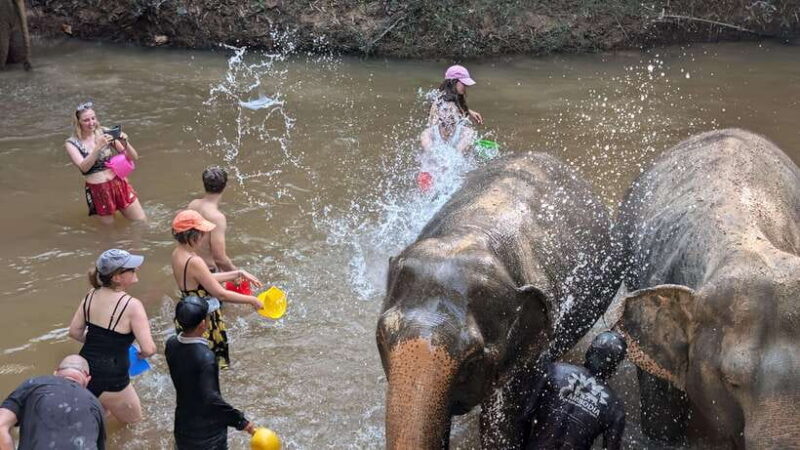 Cambodia Elephant Sanctuary Include Hotel Transfer Roundtrip - What’s Included and Why It Matters