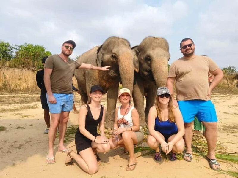 Cambodia Elephants Haft Day Experiences from Siem Reap - Key Points