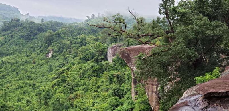Cambodia Elephants Haft Day Experiences from Siem Reap - A Balanced View: The Benefits and Considerations