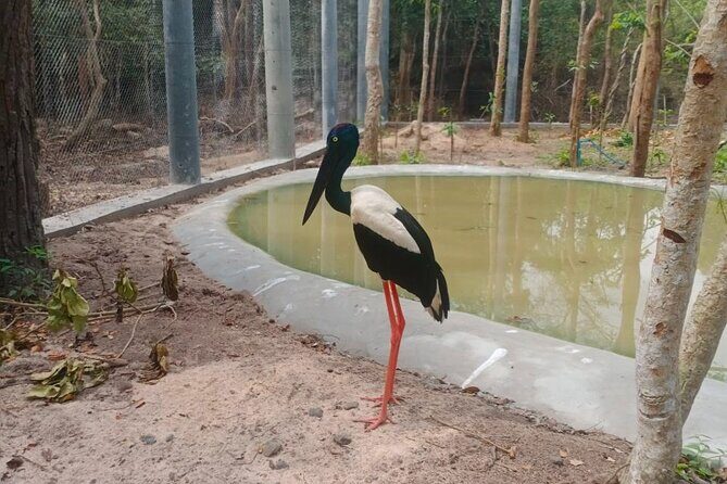 Cambodia Wildlife Sanctuary and Countryside Tour - The Sum Up