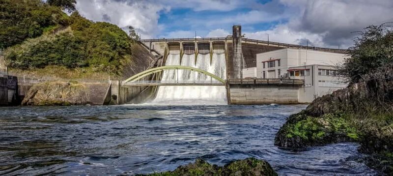 Cambridge, Matamata, Waitomo: 1-Hour Ecological River Cruise - Key Points