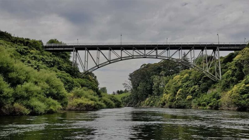 Cambridge, Matamata, Waitomo: 1-Hour Ecological River Cruise - An In-Depth Look at the Ecological River Cruise