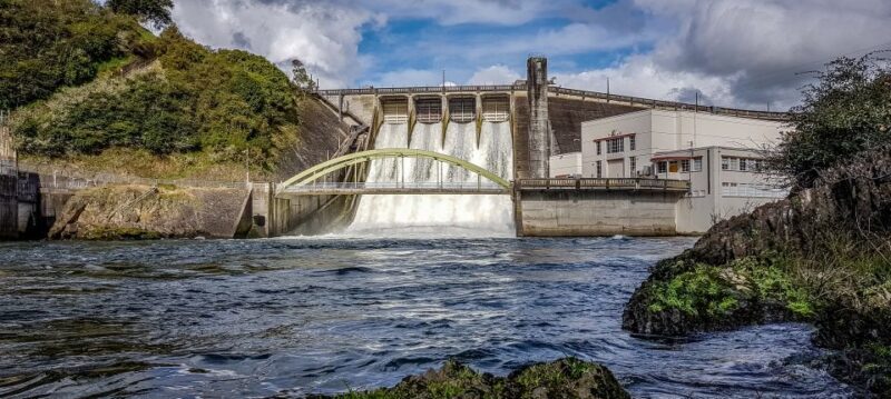 Cambridge, Matamata, Waitomo: 1-Hour Ecological River Cruise - Who Will Love This Tour?