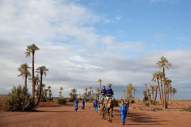 Camel and Quad Biking Tour from Marrakech - An Introduction to the Experience