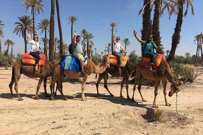 Camel and Quad in Marrakech - Conclusions: Who Should Book This Tour?