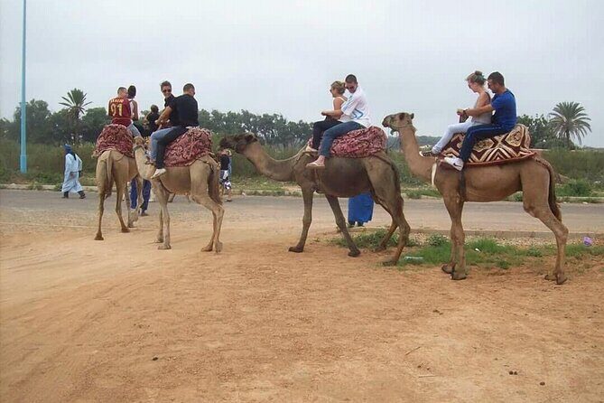 Camel Barbecue Sunset Agadir city - Final Thoughts