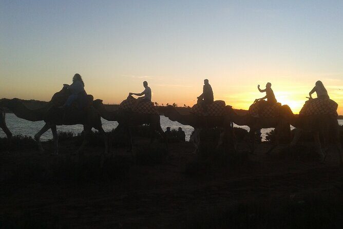 Camel Barbecue Sunset Agadir city - Additional Recommendations