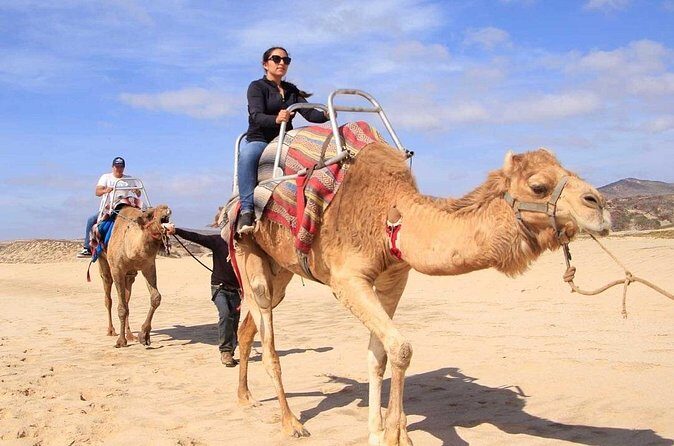 Camel Desert Ride Experience in Cabo - FAQ