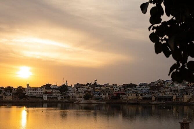 Camel Desert Safari with Sunset -The Pushkar Route - In-Depth Itinerary Breakdown