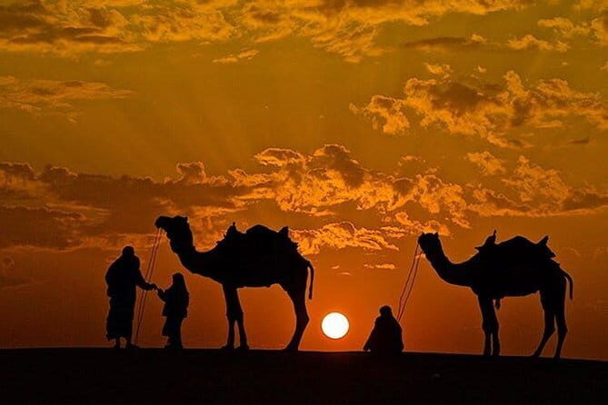 Camel Desert Safari with Sunset -The Pushkar Route - Authenticity and Guest Feedback