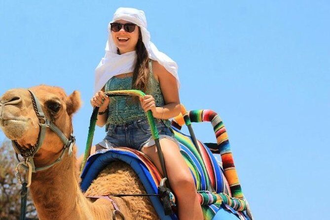 Camel Encounter and Safari Ride. Includes lunch & alcohol tasting - An In-Depth Look at the Cabo Camel Safari