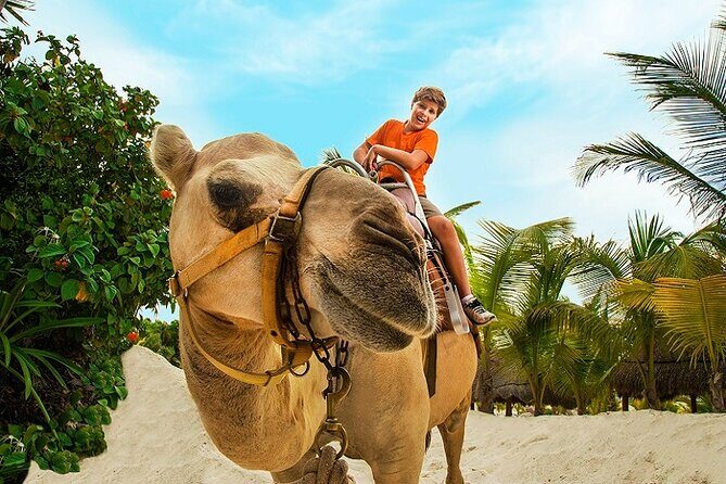 Camel Expedition and Beach Club In Riviera Maya - The Sum Up