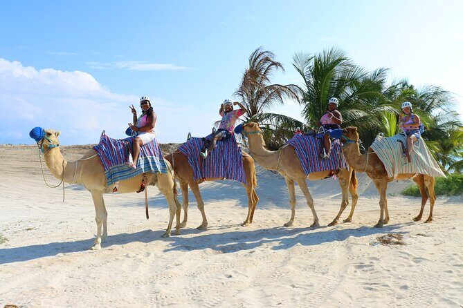 Camel Expedition and Beach Club In Riviera Maya - FAQ