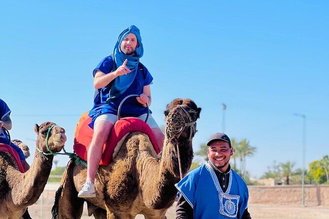 Camel in Marrakech at sunset - Possible Drawbacks or Considerations