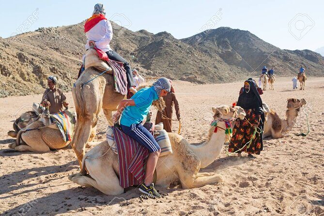 Camel Ridding marsa alam safari from Camel Yard - Return to the Beach and Final Camel Ride