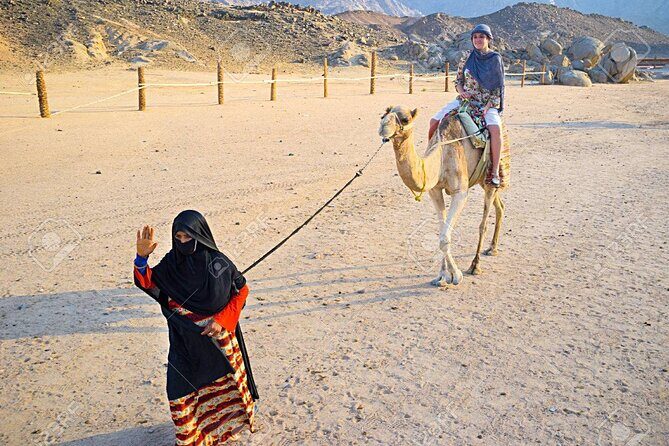 Camel Ridding marsa alam safari from Camel Yard - Assessing the Value