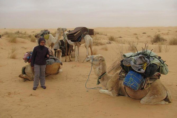 Camel ride and 1 night in the desert - An In-Depth Look at the Camel Ride and Desert Night Experience