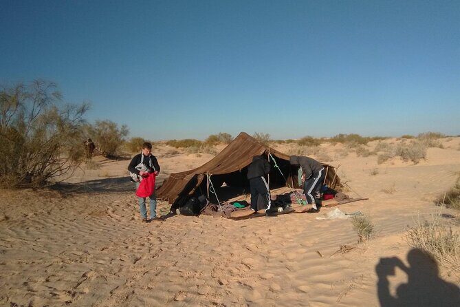 Camel ride and 1 night in the desert - The Sum Up: Is It Worth It?