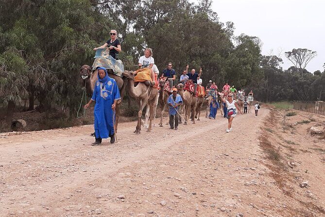 Camel Ride and Barbecue Tour in Agadir - Authenticity and Review Highlights