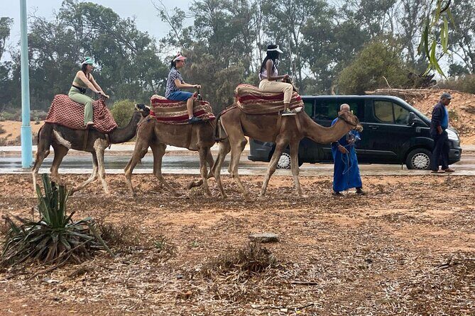 Camel Ride and Barbecue Tour in Agadir - Summing Up: Who Should Consider This Tour?