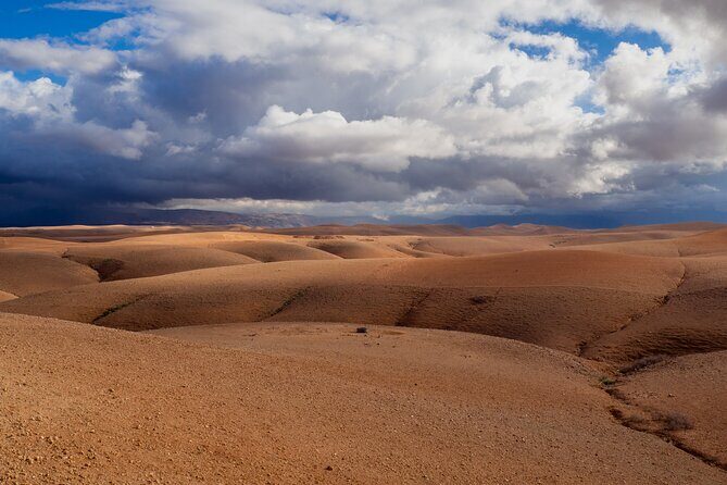Camel Ride and Dinner in the Agafay Desert with Transportation - Key Points