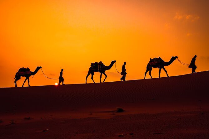 Camel Ride and Dinner in the Agafay Desert with Transportation - Price and Value: What You’re Getting for $56.22