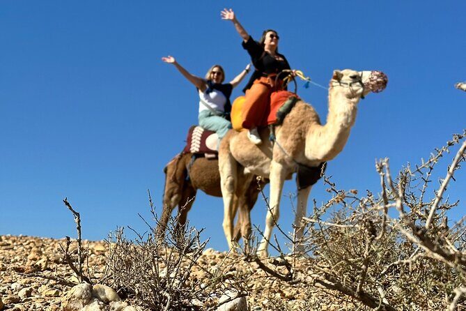 Camel ride and magical dinner in Agafay desert - An In-Depth Look at the Experience