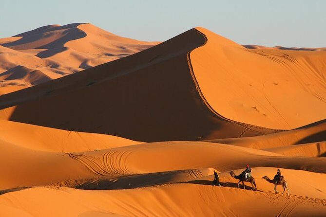 Camel Ride and Overnight in Sahara Desert Camp - Practical Details and Tips