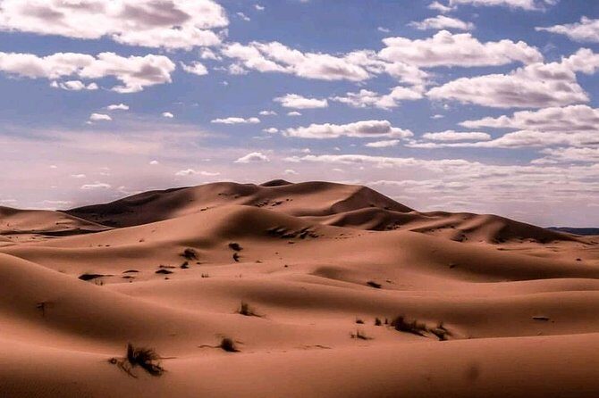 Camel Ride and Overnight in Sahara Desert Camp - Who Might Want to Consider Other Options