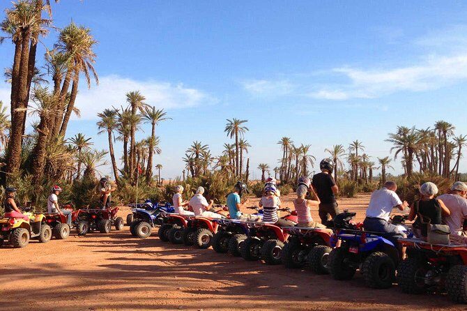 Camel Ride and Quad Bike in Palmeraie - What Makes This Tour Stand Out