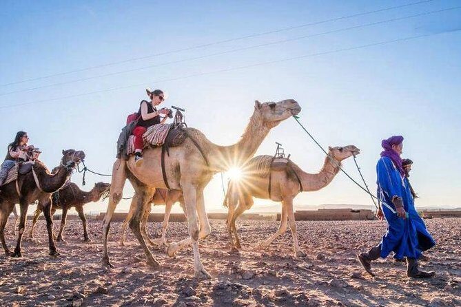 Camel Ride and Quad Bike in Palmeraie - Final Thoughts