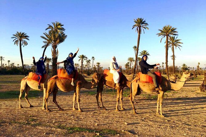 Camel Ride and Spa Treatment in Marrakech - Why Choose This Tour?