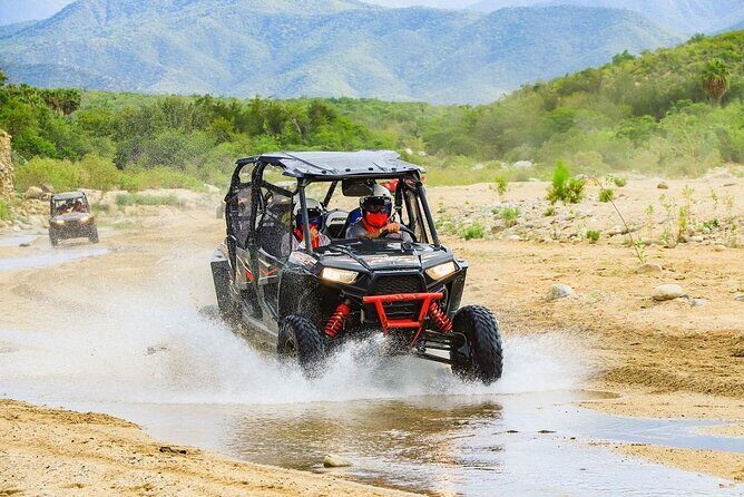Camel Ride and UTV Combo Adventure, with Tequila Tasting - Logistics: Transportation and Group Size