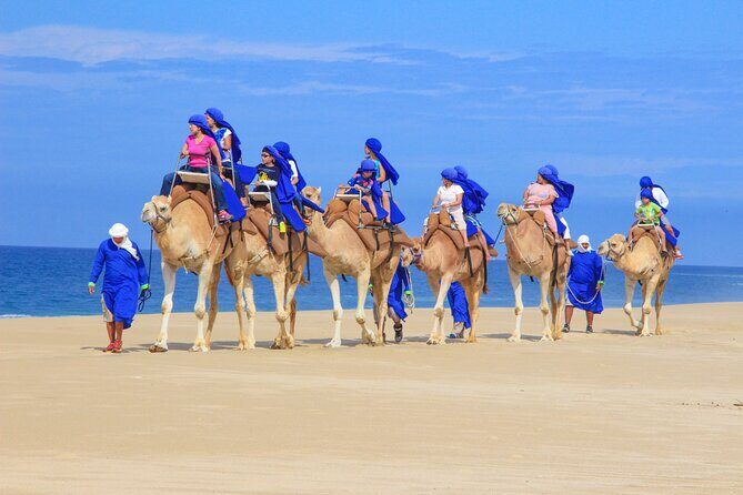 Camel Ride and UTV Combo Adventure, with Tequila Tasting - Pricing and Value
