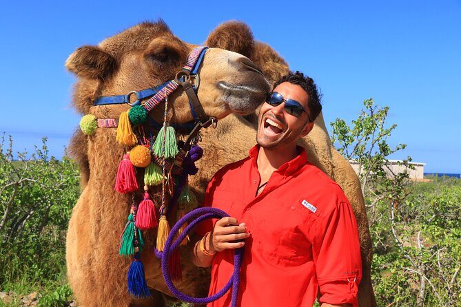 Camel Ride and UTV Combo Adventure, with Tequila Tasting - Reviews and Real Traveler Insights