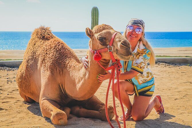 Camel Ride and UTV Combo Adventure, with Tequila Tasting - FAQ