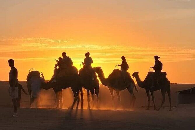 Camel Ride at Agafay Desert - An Authentic Moroccan Desert Camel Ride Near Marrakech