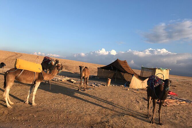 Camel Ride at Agafay Desert - FAQs