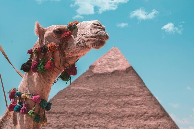 Camel Ride at Giza Pyramids during sunset - Who Would Love This Tour?
