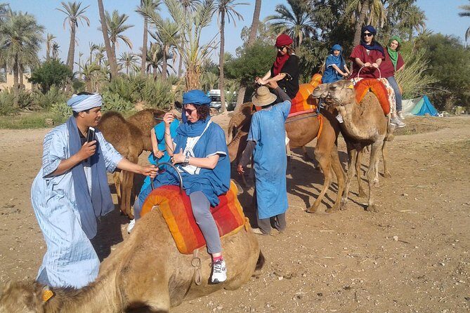 Camel ride at sunset in Marrakech palm grove - What Travelers Can Expect