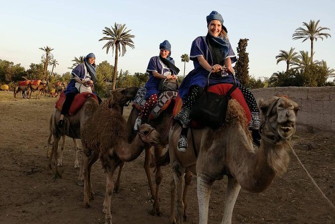 Camel Ride at the Palm Groves in Marrakech - A Deep Dive into the Camel Ride at Marrakech’s Palm Groves