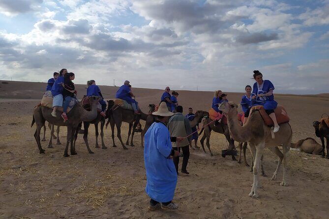 Camel Ride at the Palm Groves in Marrakech - Real Traveler Insights