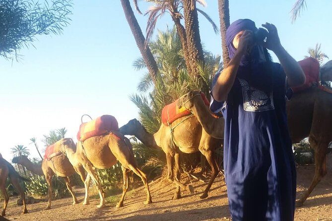 Camel Ride at the Palm Groves in Marrakech - Who Would Love This Tour?