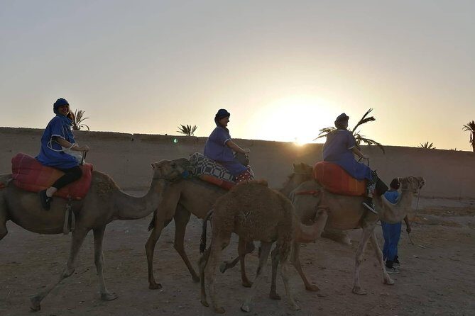 Camel Ride at the Palm Groves in Marrakech - The Sum Up
