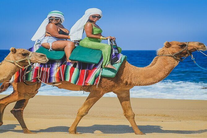 Camel Ride & ATV Combo in Migriño, Mexico - Who Will Enjoy This Tour?