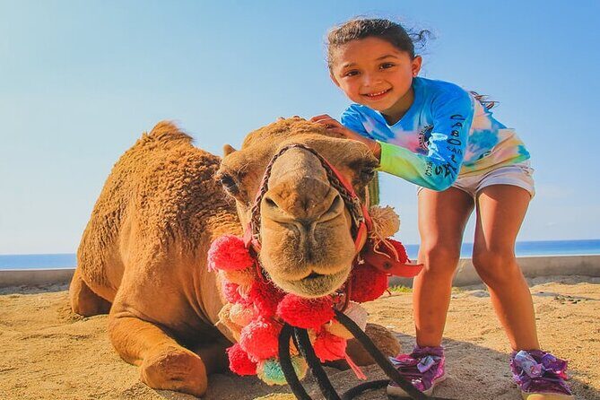 Camel Ride & ATV Combo in Migriño, Mexico - The Sum Up