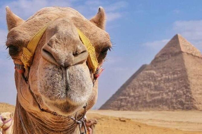Camel Ride & Barbeque Dinner at the Pyramids - An In-Depth Look at the Tour Experience