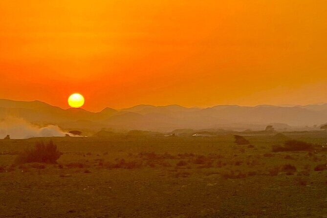 Camel Ride, Bedouin Dinner and Star Gazing in Marsa Alam - An Evening in the Egyptian Desert: What to Expect