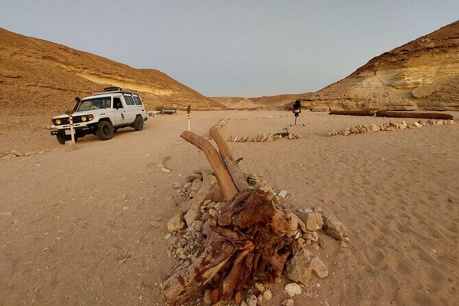 Camel Ride, Bedouin Dinner & Stargazing in 4X4 Jeep Safari in Hurghada - An Introductory Look at the Tour