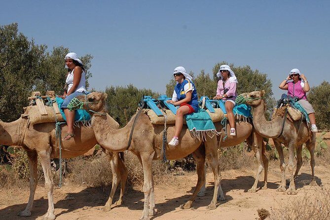 Camel ride - Key Points